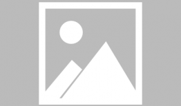 动漫兄弟,青春热血的友情传奇