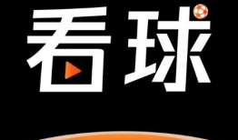 91看球直播回放,精彩瞬间回顾，重温激情赛事